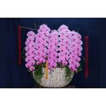 Lan thiết kế khảm trai cao 1m2 – Pisces Florist