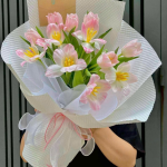 Tulip Hồng Nhạt