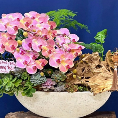 Thuyền lan thiết kế ngang 1m2 – Pisces Florist