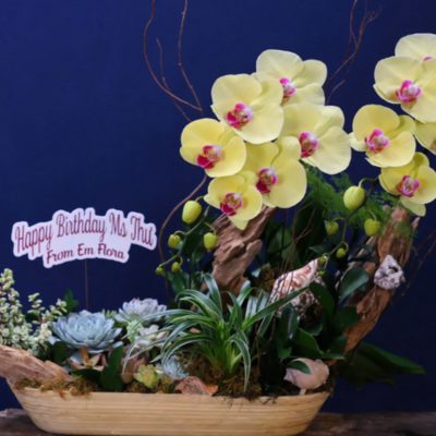 LAN THIẾT KẾ TIỂU CẢNH ĐẸP
