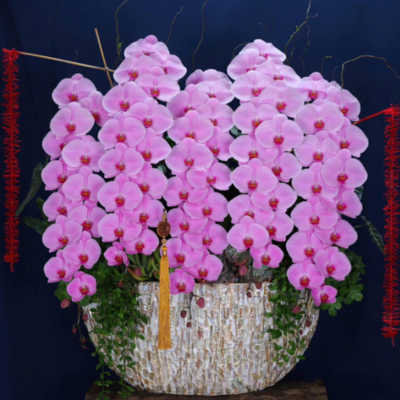 Lan thiết kế khảm trai cao 1m2 – Pisces Florist