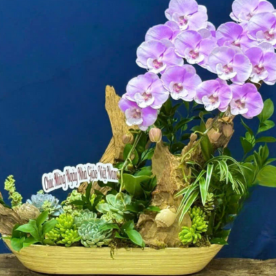 THUYỀN LAN THIẾT KẾ TONE TÍM