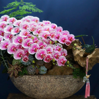 THUYỀN LAN THIẾT KẾ TONE HỒNG