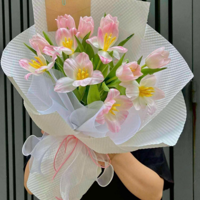 Tulip Hồng Nhạt